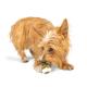 Ring Holding Dog Toy - Bone, Small